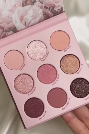 ColourPop Blush Crush 9-Pan Pressed Powder Eyeshadow Palette – Romantic Soft Pinks, Rosy Mattes & Shimmer Finishes for Everyday to Glam Looks